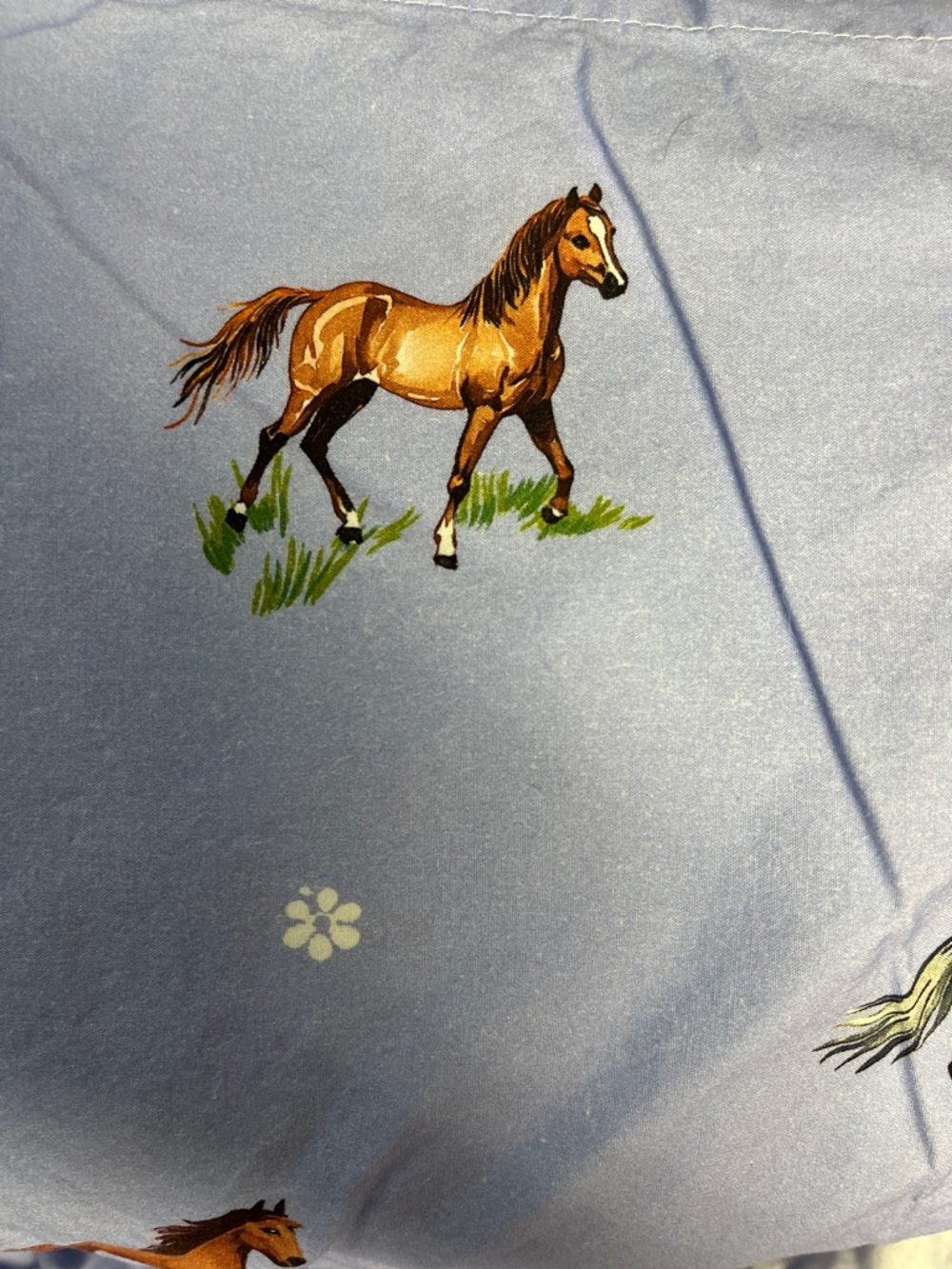 Anthropologie Percale Cotton Horse Sky Full/Queen Sheet Set New out Of Package - Picture 4 of 4